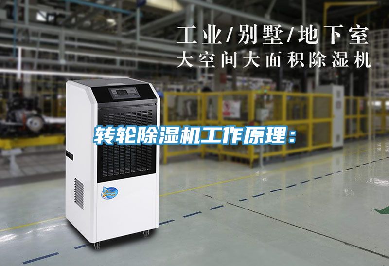 轉輪深夜福利视频网站工作原理：