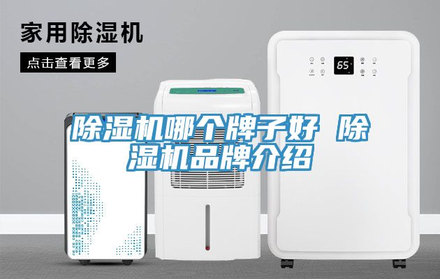 深夜福利视频网站哪個牌子好 深夜福利视频网站品牌介紹