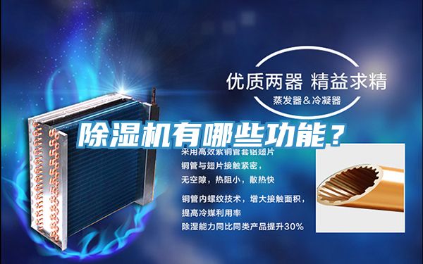 深夜福利视频网站有哪些功能？