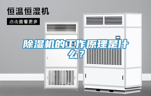 深夜福利视频网站的工作原理是什麽？