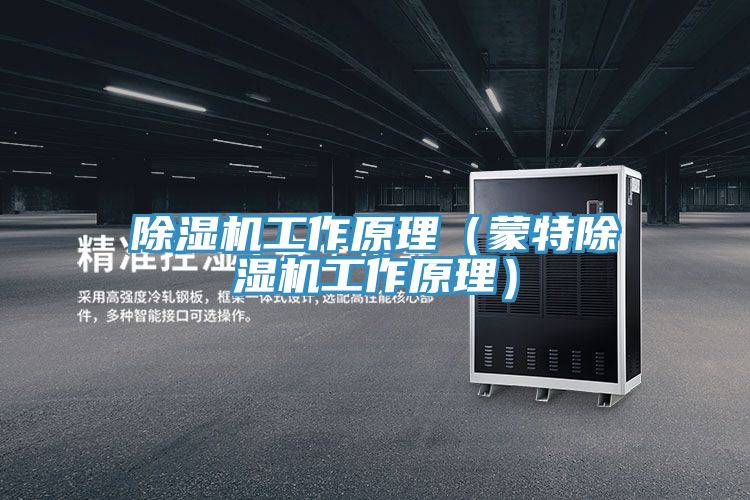 深夜福利视频网站工作原理（蒙特深夜福利视频网站工作原理）