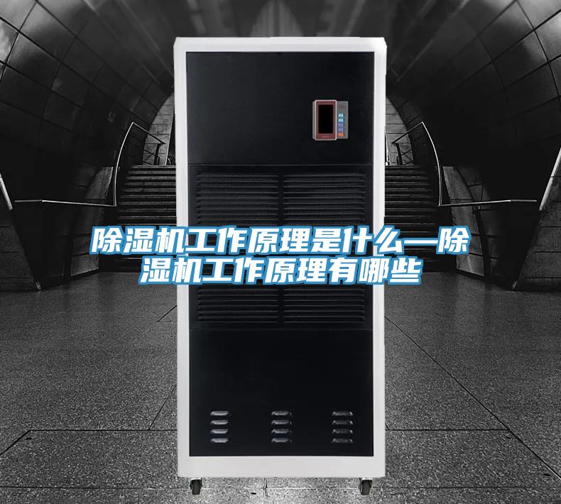 深夜福利视频网站工作原理是什麽—深夜福利视频网站工作原理有哪些
