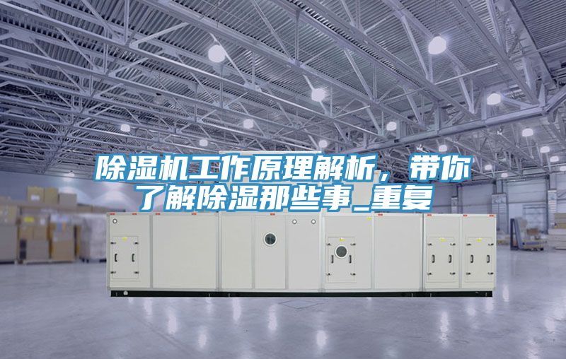 深夜福利视频网站工作原理解析，帶你了解除濕那些事_重複