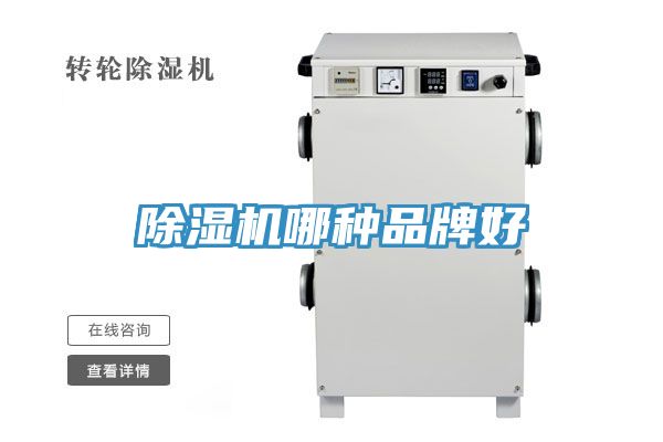 深夜福利视频网站哪種品牌好
