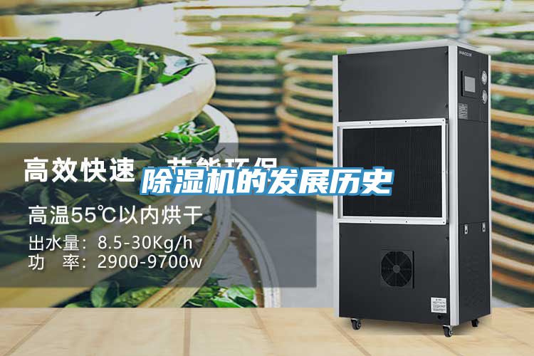 深夜福利视频网站的發展曆史