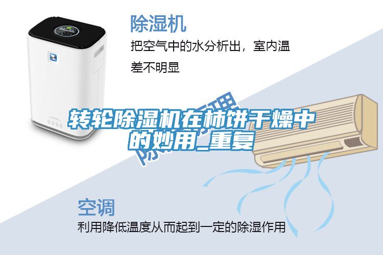轉輪深夜福利视频网站在柿餅幹燥中的妙用_重複