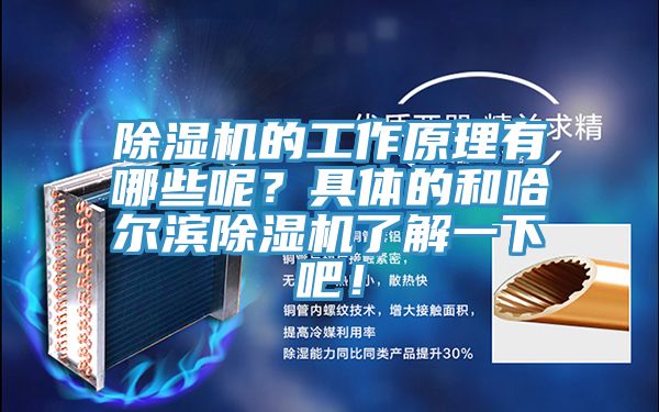 深夜福利视频网站的工作原理有哪些呢？具體的和哈爾濱深夜福利视频网站了解一下吧！