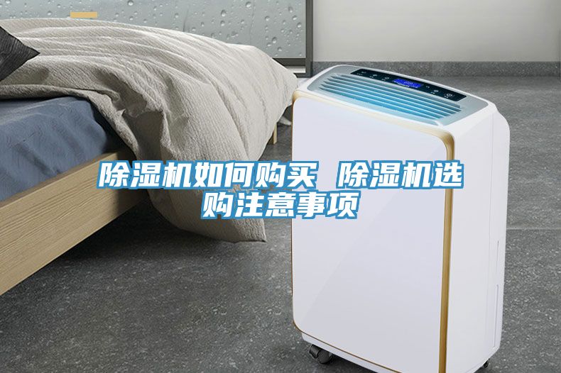 深夜福利视频网站如何購買 深夜福利视频网站選購注意事項