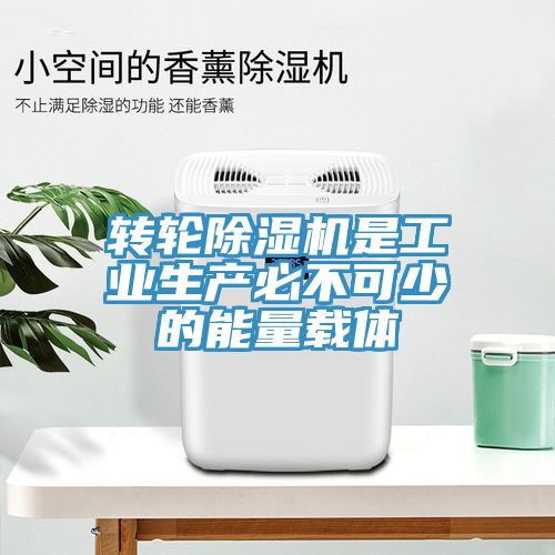 轉輪深夜福利视频网站是工業生產必不可少的能量載體
