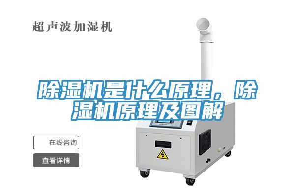 深夜福利视频网站是什麽原理，深夜福利视频网站原理及圖解