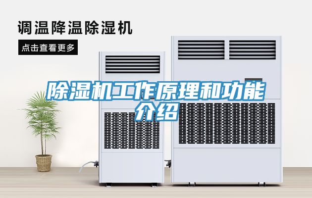 深夜福利视频网站工作原理和功能介紹