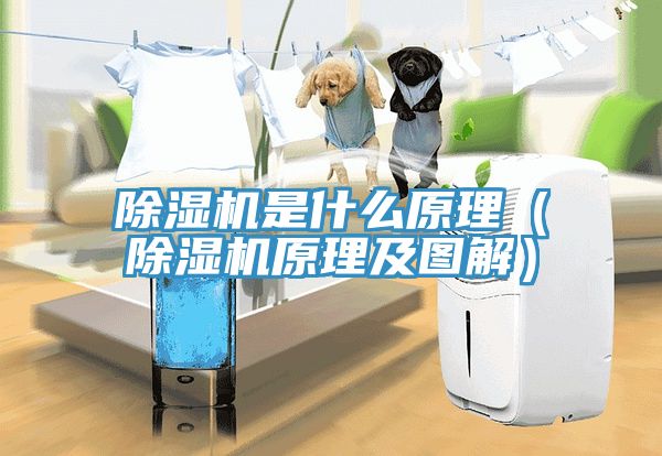 深夜福利视频网站是什麽原理（深夜福利视频网站原理及圖解）