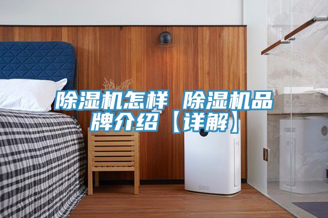 深夜福利视频网站怎樣 深夜福利视频网站品牌介紹【詳解】