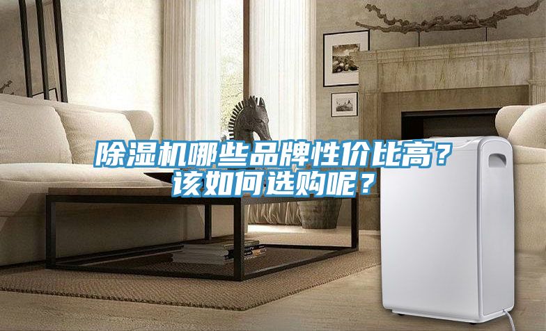 深夜福利视频网站哪些品牌性價比高？該如何選購呢？