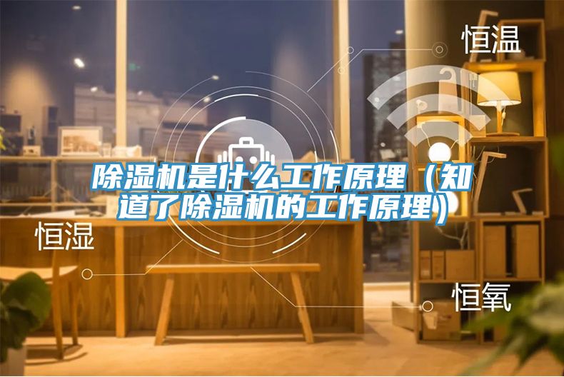 深夜福利视频网站是什麽工作原理（知道了深夜福利视频网站的工作原理）