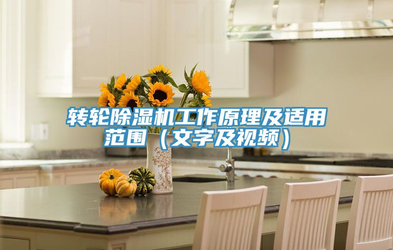 轉輪深夜福利视频网站工作原理及適用範圍（文字及視頻）