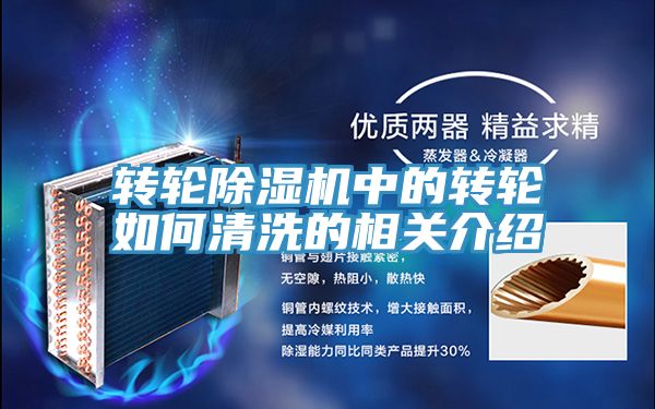 轉輪深夜福利视频网站中的轉輪如何清洗的相關介紹