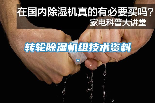 轉輪深夜福利视频网站組技術資料.