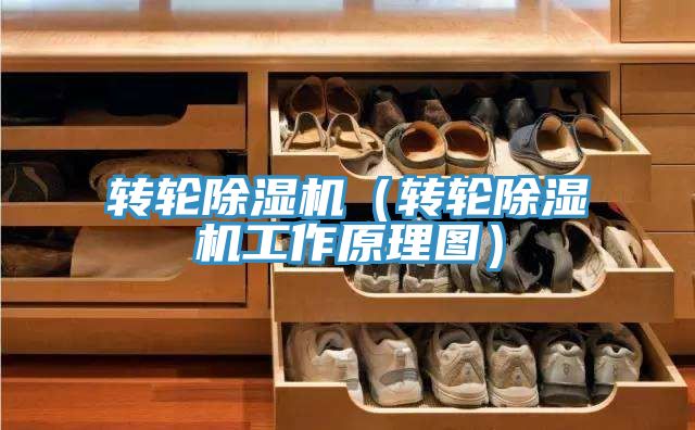 轉輪深夜福利视频网站（轉輪深夜福利视频网站工作原理圖）