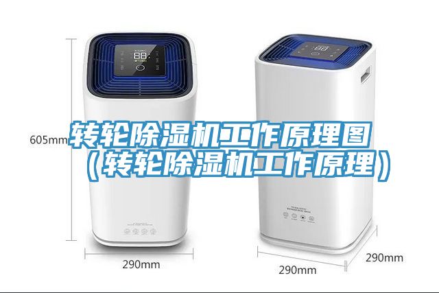 轉輪深夜福利视频网站工作原理圖（轉輪深夜福利视频网站工作原理）