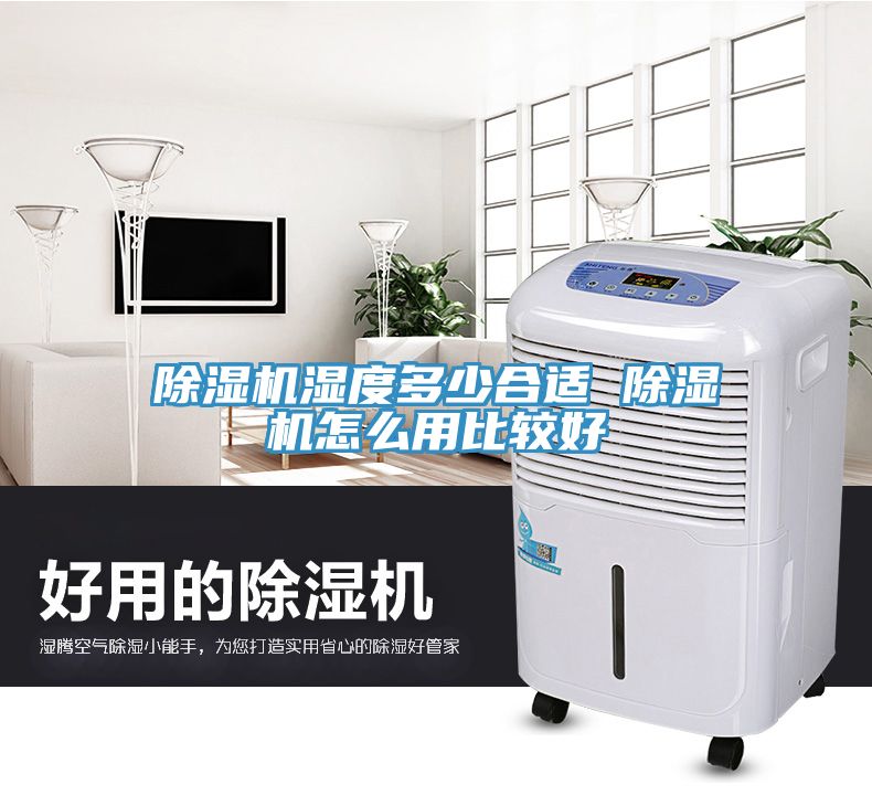 深夜福利视频网站濕度多少合適 深夜福利视频网站怎麽用比較好