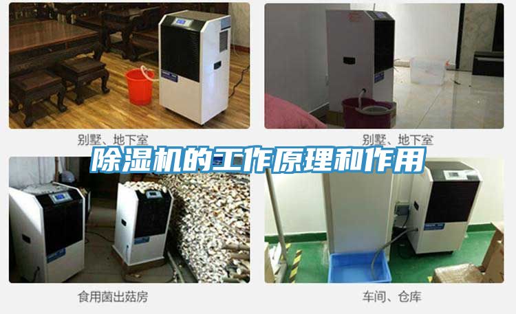 深夜福利视频网站的工作原理和作用