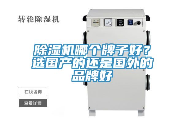 深夜福利视频网站哪個牌子好？選國產的還是國外的品牌好