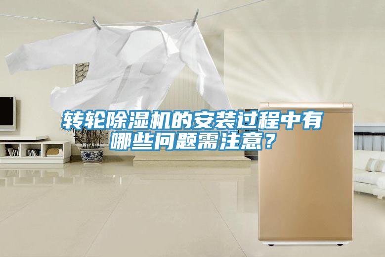 轉輪深夜福利视频网站的安裝過程中有哪些問題需注意？