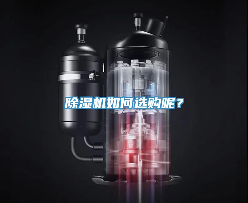 深夜福利视频网站如何選購呢？