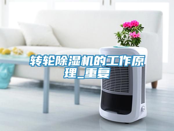 轉輪深夜福利视频网站的工作原理_重複
