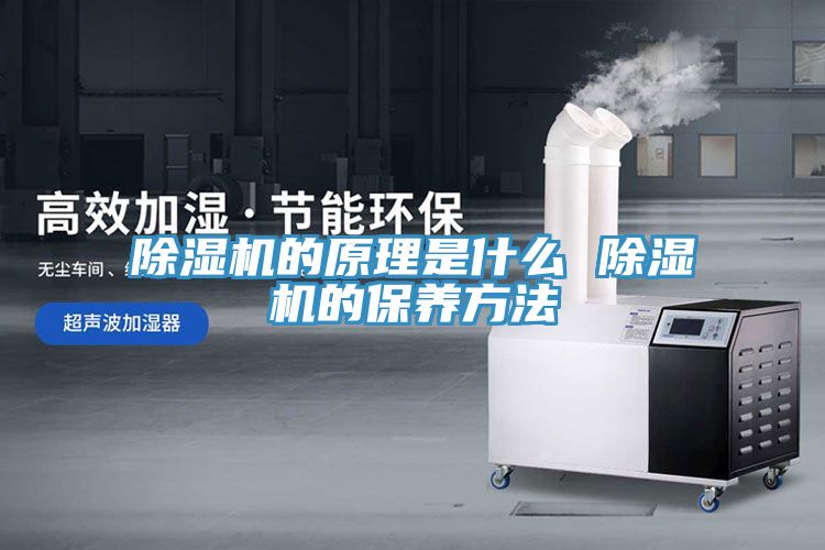 深夜福利视频网站的原理是什麽 深夜福利视频网站的保養方法