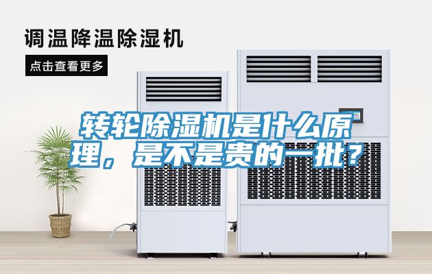 轉輪深夜福利视频网站是什麽原理，是不是貴的一批？