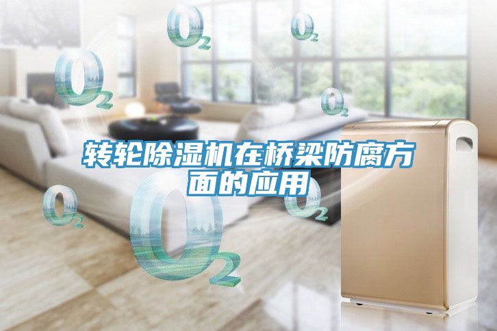 轉輪深夜福利视频网站在橋梁防腐方麵的應用