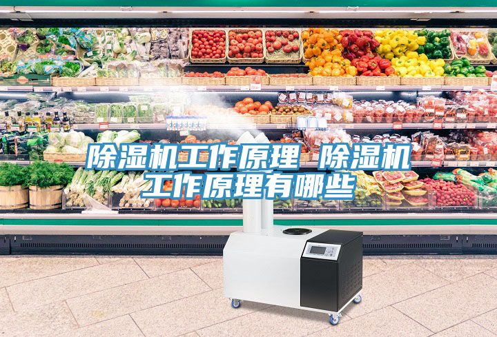 深夜福利视频网站工作原理 深夜福利视频网站工作原理有哪些