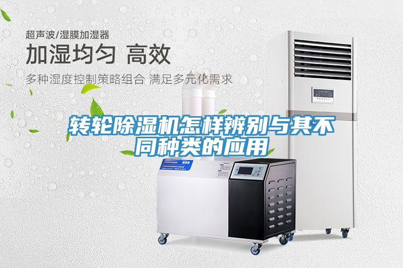 轉輪深夜福利视频网站怎樣辨別與其不同種類的應用