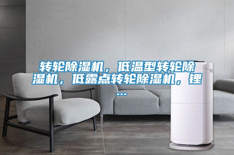轉輪深夜福利视频网站，低溫型轉輪深夜福利视频网站，低露點轉輪深夜福利视频网站，鋰 ...