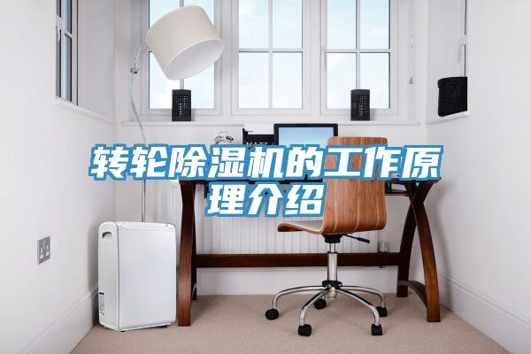 轉輪深夜福利视频网站的工作原理介紹