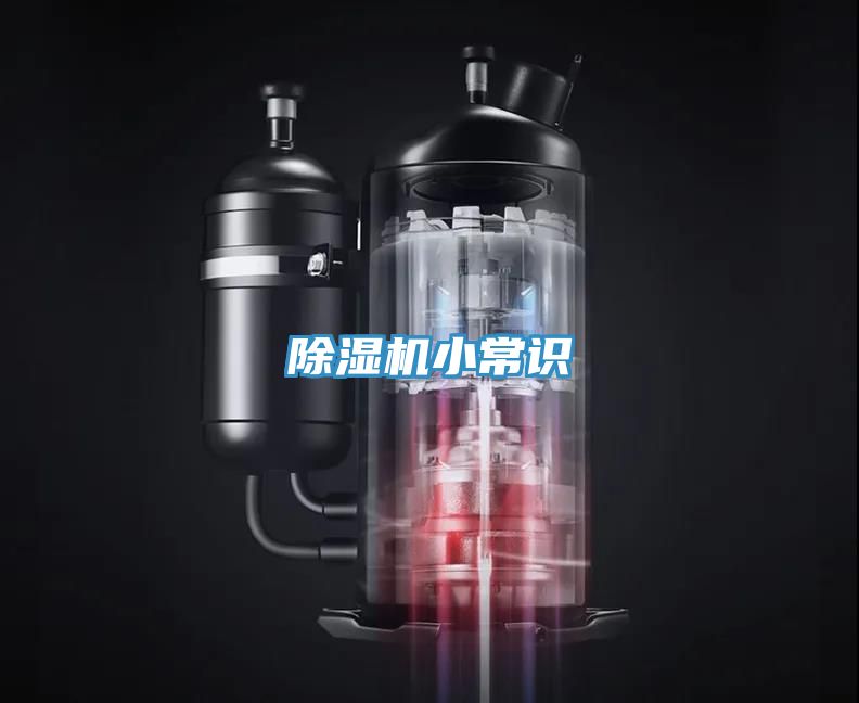 深夜福利视频网站小常識