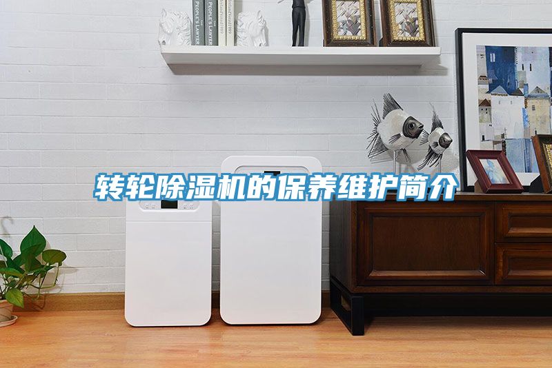 轉輪深夜福利视频网站的保養維護簡介