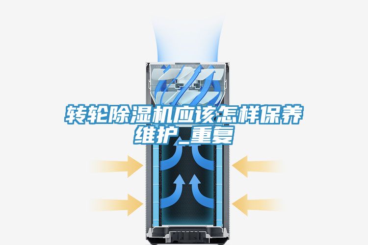 轉輪深夜福利视频网站應該怎樣保養維護_重複