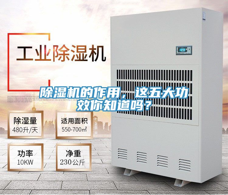 深夜福利视频网站的作用，這五大功效你知道嗎？