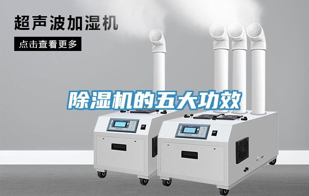 深夜福利视频网站的五大功效